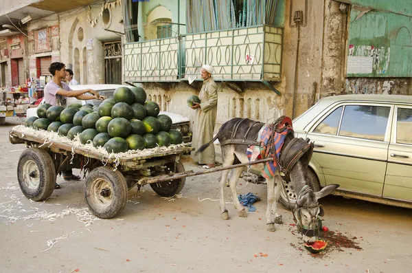 Scena di strada con venditore di angurie in Egitto centro storico cairo — Foto Stock