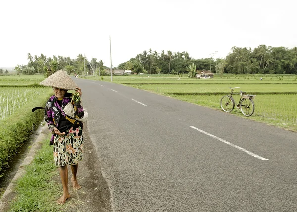 在印度尼西亚巴厘岛农村的女人 — 图库照片