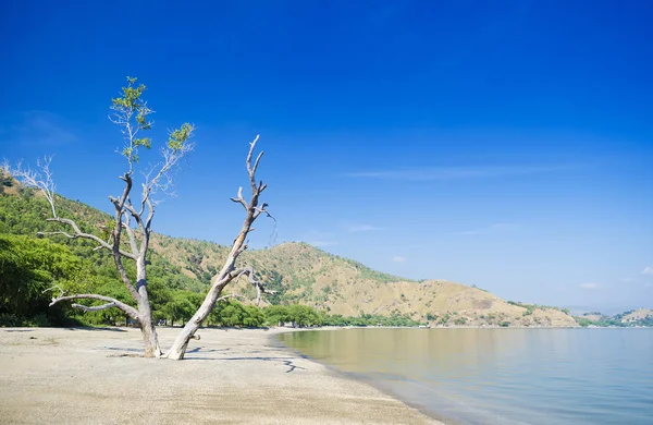 Spiaggia di Areia branca vicino dili Timor Est — Foto Stock