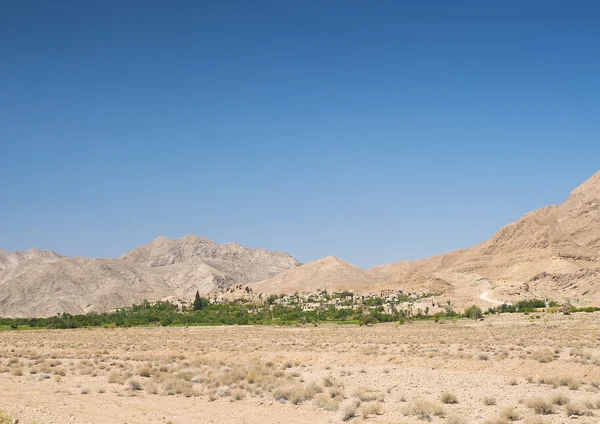 Garmeh 南伊朗沙漠中的绿洲 — 图库照片