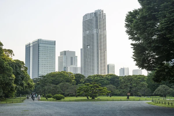 Park i ginza tokyo japan — Stockfoto