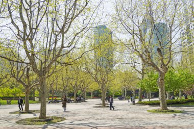 Central park Çin shanghai