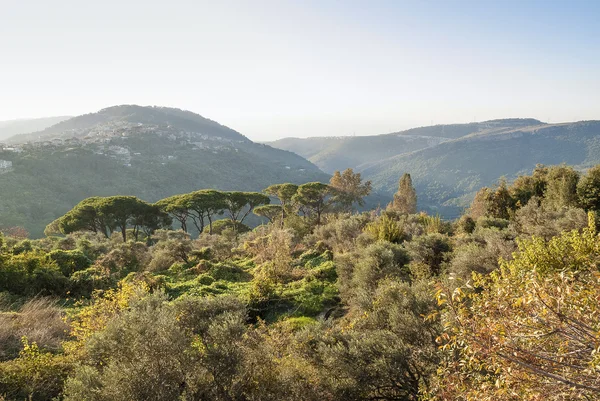 Valle vicino a beirut nel libanone — Foto Stock
