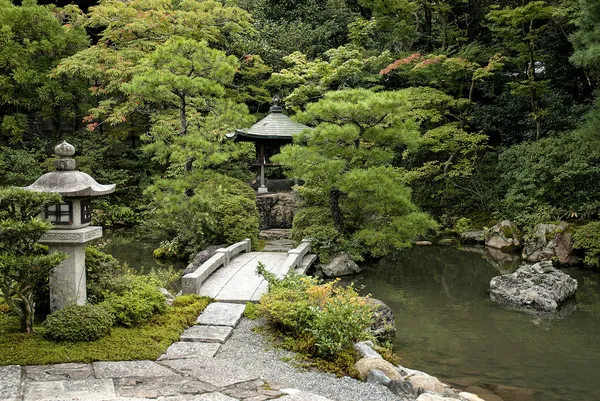 在日本京都传统日本园林的花园 — 图库照片