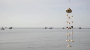deniz deniz kabuğu rüzgar ahenge