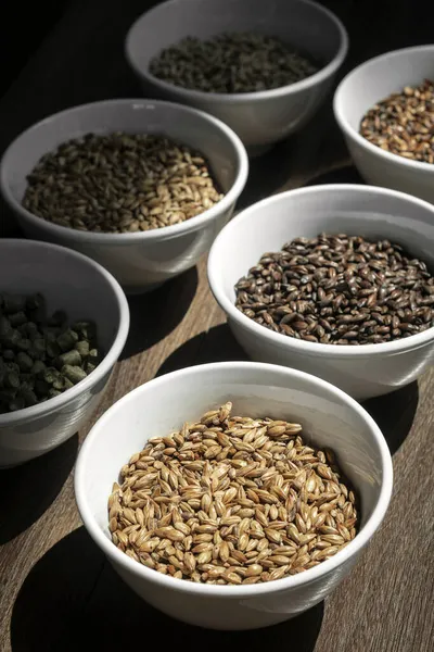 Grãos Malte Cevada Cerveja Cerveja Cerveja Ingredientes Tradicionais Naturais Cervejaria — Fotografia de Stock