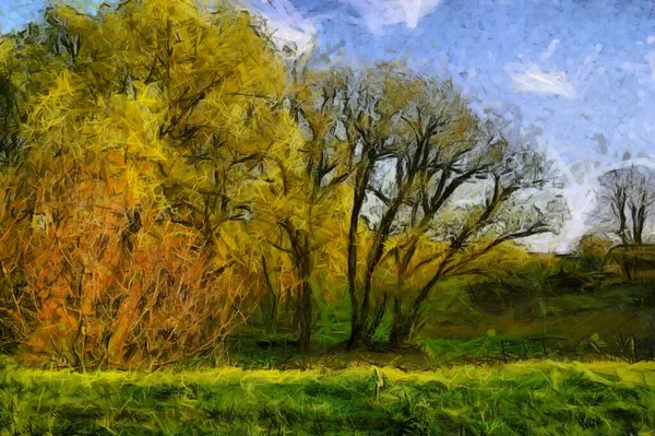 Autumn Landscape Bright Trees Forest Painting — ストック写真