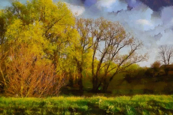 Autumn Landscape Bright Trees Forest Painting — 图库照片