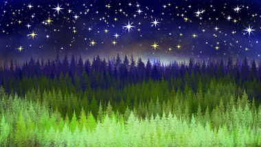 Köknar ağaçları ve karla kaplı kış manzarası