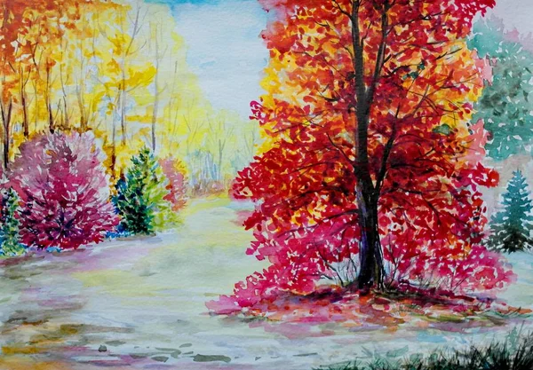 Aquarela Pintura Árvores Outono — Fotografia de Stock
