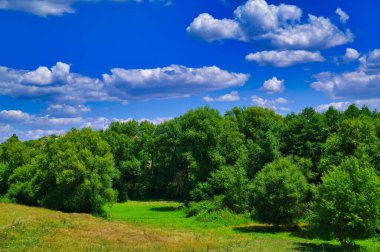 Ağacı ve mavi gökyüzü olan güzel bir manzara.