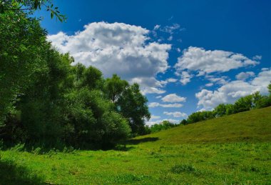 Ağacı ve mavi gökyüzü olan güzel bir manzara.