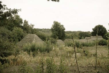 Ağacı ve büyük bir nehri olan güzel bir manzara.