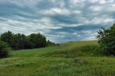 Yeşil çimenlerle ve bulutlu gökyüzüyle güzel bir manzara.