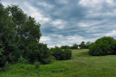 Ağacı ve bulutlu gökyüzü olan güzel bir manzara.