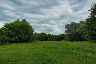 Ağacı ve bulutlu gökyüzü olan güzel bir manzara.