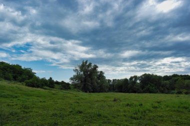 Ağacı ve bulutlu gökyüzü olan güzel bir manzara.