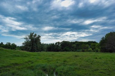 Ağacı ve bulutlu gökyüzü olan güzel bir manzara.