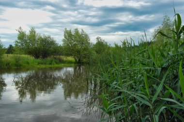 Nehir ve ağaçlarla dolu güzel bir manzara