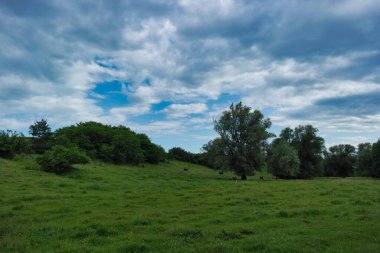 Güzel bir manzara Ağacı ve mavi gökyüzü