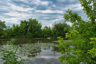 Güzel göl manzarası
