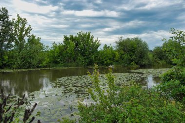 Nehir ve ormanlı güzel bir manzara.