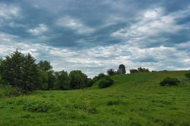 Güzel bir manzara Ağacı ve mavi gökyüzü