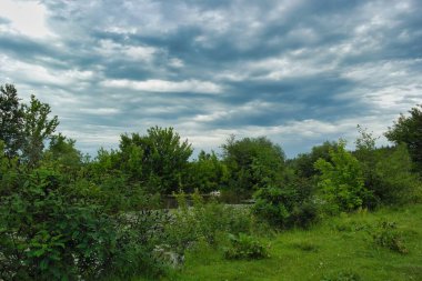 Güzel bir manzara Ağacı ve mavi gökyüzü