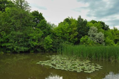 Nehir ve gölü olan güzel bir manzara.