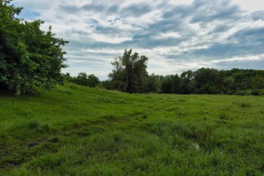 Ağacı ve bulutlu gökyüzü olan güzel bir manzara.