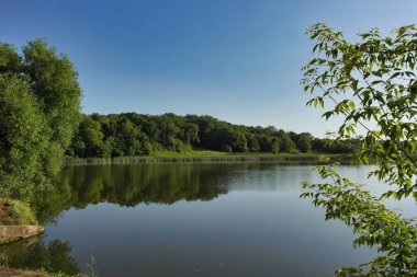 Parktaki nehrin güzel manzarası