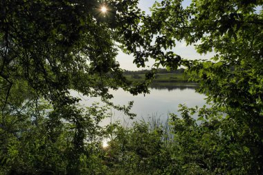 Parktaki nehrin güzel manzarası