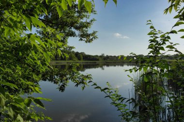 Ağaçlı ve yeşil ormanlı güzel bir manzara.