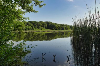 Doğadaki gölün güzel manzarası