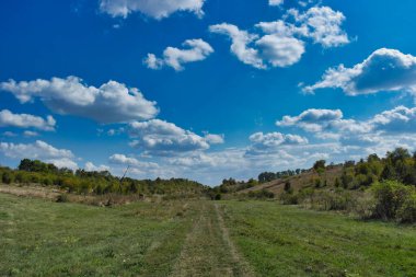 Ağaçlarla ve mavi gökyüzüyle manzara