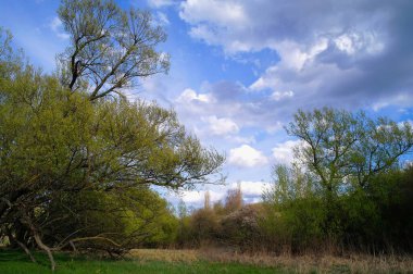Doğanın güzel manzarası