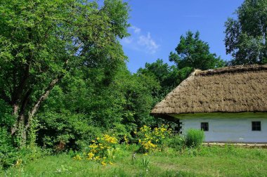 Köydeki eski geleneksel Ukrayna evi.