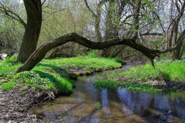 Parkın güzel manzarası
