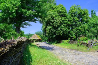 Ormandaki eski ahşap ev