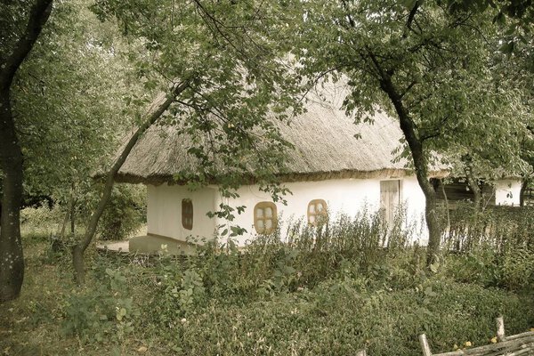 Old house in the village