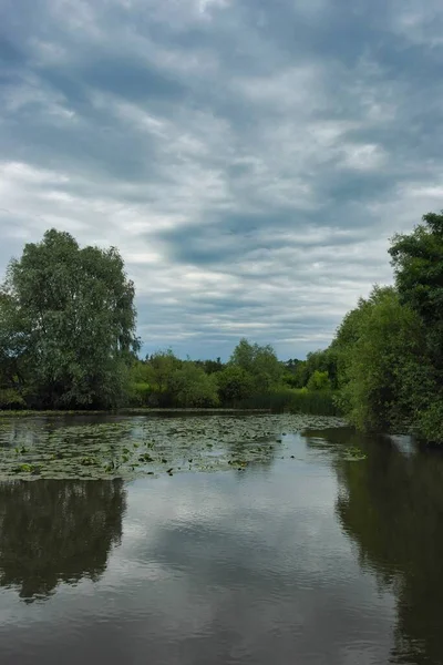 Beau Paysage Avec Rivière Arbres — Photo