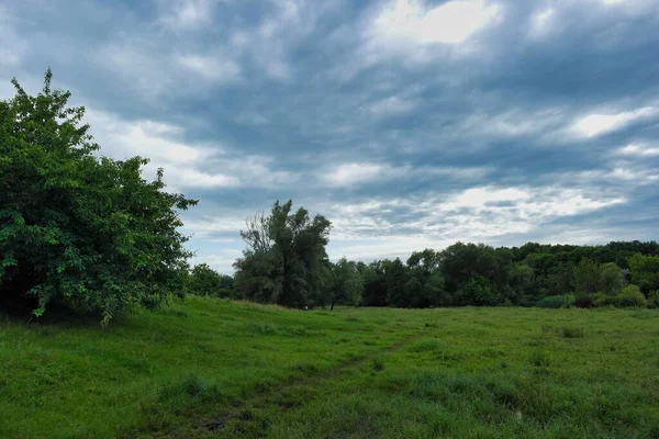 Güzel bir manzara Ağacı ve mavi gökyüzü