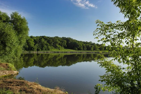 Nehir, doğa, yaz, yeşil orman manzaralı güzel bir göl.