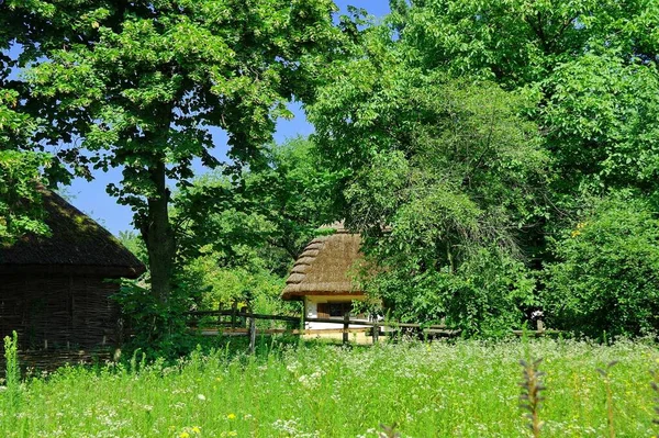 Casa Madera Bosque — Foto de Stock