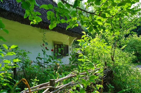 Verde Casa Nel Bosco — Foto Stock