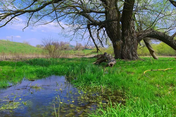 Vackert Landskap Med Och Sjö — Stockfoto