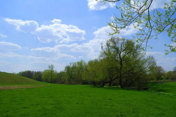 Piękny Krajobraz Drzewem Błękitnym Niebem — Zdjęcie stockowe