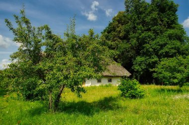 Ormanda küçük bir evi olan güzel bir manzara.