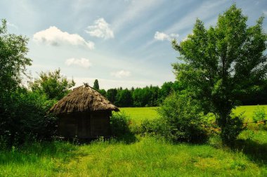 Köydeki eski geleneksel Ukrayna evi.