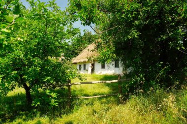 Köydeki eski geleneksel Ukrayna evi.